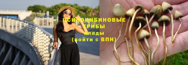 бутират Абинск