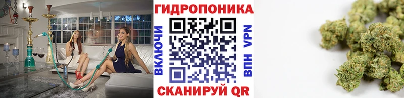 Марихуана гибрид наркошоп Спас-Клепики